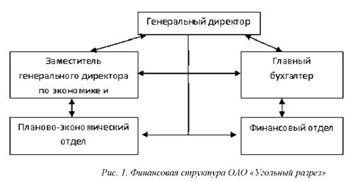 Финансовая структура ОАО угольный разрез