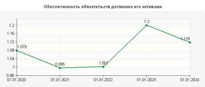 Обеспеченность обязательств должника его активами